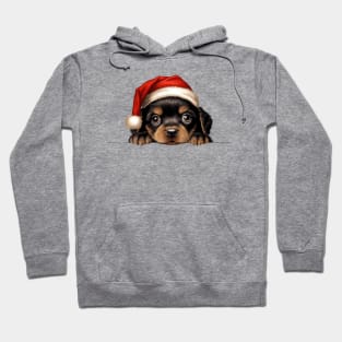 Christmas Peeking Puppy Hoodie